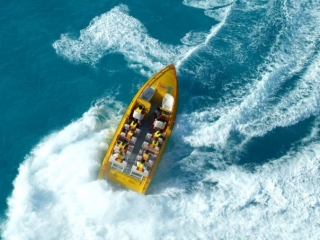  肾上腺素和速度 